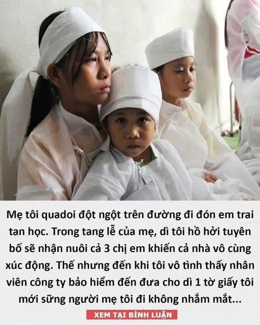 Mẹ tôi quadoi đột ngột trên đường đi đón em trai tan học. Trong tang lễ của mẹ, dì tôi hồ hởi tuyên bố sẽ nhận nuôi cả 3 chị em khiến cả nhà vô cùng xúc động. Thế nhưng đến khi tôi vô tình thấy nhân viên công ty bảo hiểm đến đưa cho dì 1 tờ giấy tôi mới sững người mẹ tôi đi không nhắm mắt